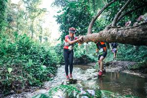 BIB: 
                            <button type="button" onclick="openModal(25434866)" class="btn btn-primary btn-sm float-right btn-popup" data-toggle="modal" data-target=".modal-high-quality">
                        <i class="fas fa-shopping-cart"></i> Add to Cart
                    </button>
                                            <button type="button" onclick="isThisMe(25434866, true)" class="btn btn-success btn-sm float-right btn-popup btn-isme hidden" data-toggle="tooltip" data-placement="bottom" title="นี่คือรูปของคุณใช่ไหม คลิกที่นี่เพื่อเอาเข้าอัลบั้ม">
                        <i class="fas fa-plus"></i> Add to album
                    </button>
                    <button type="button" onclick="isThisMe(25434866, false)" class="btn btn-warning btn-sm float-right btn-popup btn-isnotme hidden">
                        <i class="fas fa-ban"></i> Remove from album
                    </button>